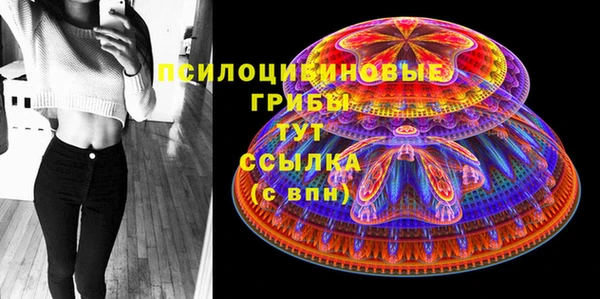 шишки Алексеевка