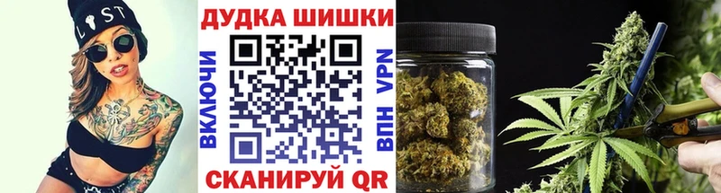 даркнет телеграм  Светлоград  Бошки Шишки SATIVA & INDICA 